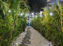 Load image into Gallery viewer, Room 1 - Miami Beach Retreat 1/26-31/2026